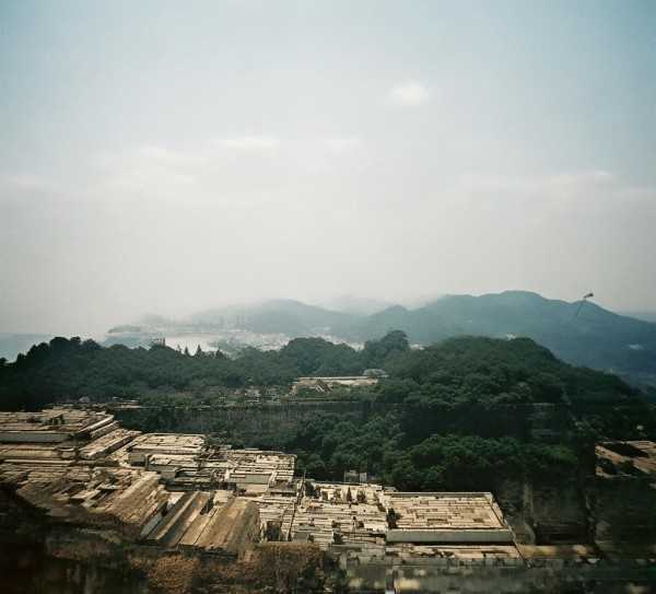 古韵流转，关雎诗意赏析,关雎，古韵悠长的爱情诗篇——原文及翻译赏析,魅力,智慧,第1张
