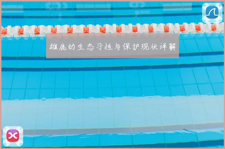 雄鹿的生态习性与保护现状详解